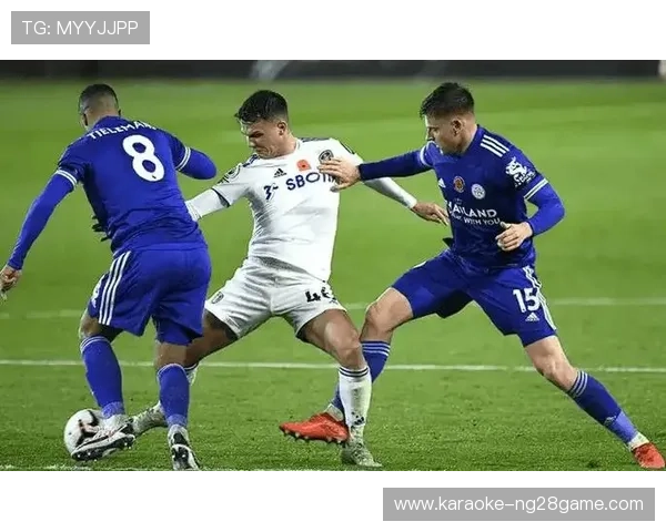 斯托克城最新动态：球队阵容调整与赛季展望全面解析